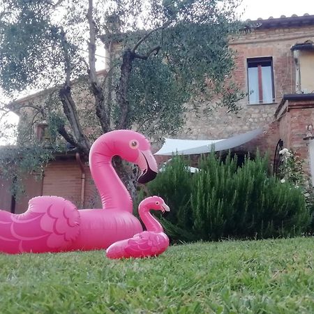 Apartamento Agli Olivi Di Marciano Siena Exterior foto