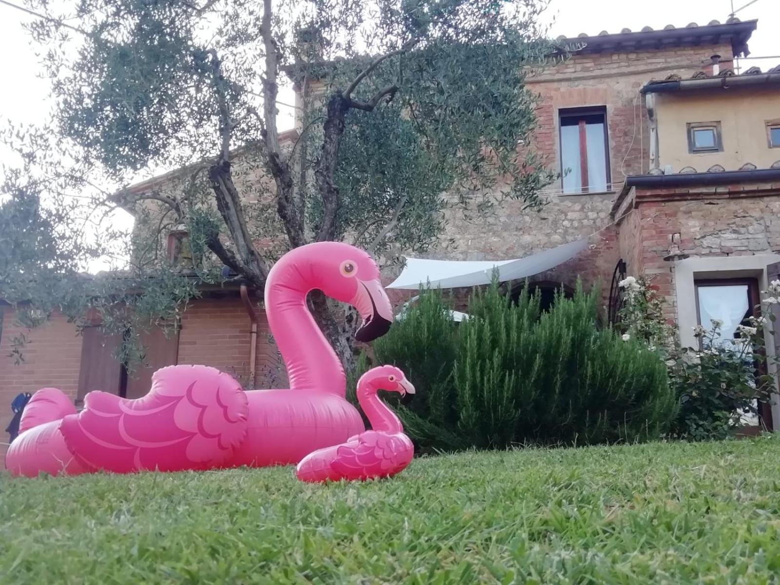 Apartamento Agli Olivi Di Marciano Siena Exterior foto