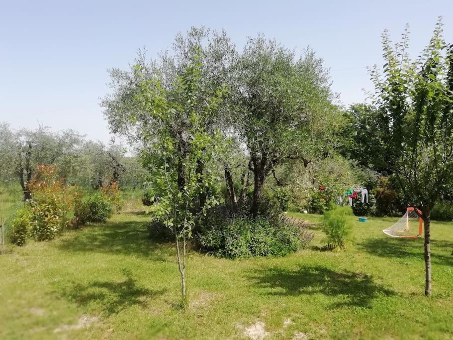 Apartamento Agli Olivi Di Marciano Siena Exterior foto