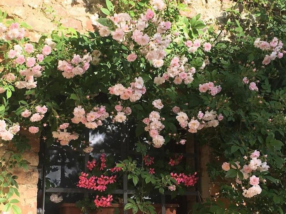 Apartamento Agli Olivi Di Marciano Siena Exterior foto
